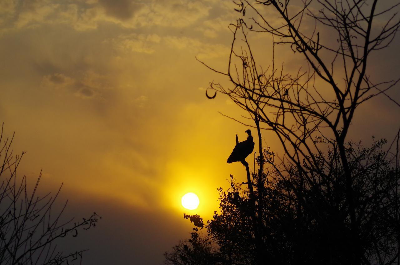Frans Indongo Lodge Otjiwarongo Bagian luar foto